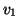 $\displaystyle v_1$