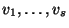 $v_1,\dots,v_s$