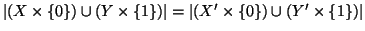 $\left\vert(X\times\{0\})\cup(Y\times\{1\})\right\vert = \left\vert(X'\times\{0\})\cup(Y'\times\{1\})\right\vert$