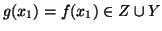 $g(x_1)=f(x_1)\in Z\cup Y$