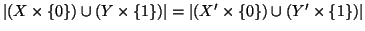 $ \left\vert(X\times\{0\})\cup(Y\times\{1\})\right\vert = \left\vert(X'\times\{0\})\cup(Y'\times\{1\})\right\vert$