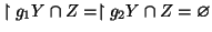 $ \restriction{g_1}{Y\cap Z}=\restriction{g_2}{Y\cap Z}=\varnothing $