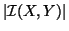 $\displaystyle \left\vert\mathcal{I}(X,Y)\right\vert$